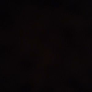 Meet your Posher, Kallie